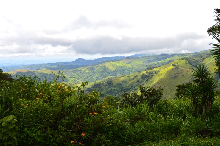 Traveling Foodie: Monteverde & Santa Teresa, Costa&nbsp;Rica