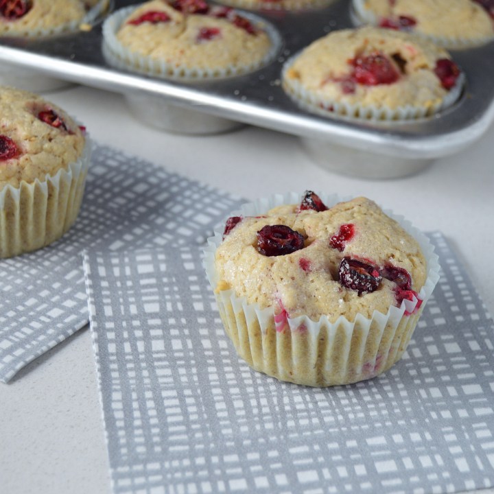 Cranberry Muffins (dairy-free |&nbsp;egg-free)
